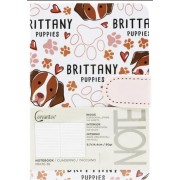 LIBRETA  A5 TAPA DURA C/BROCHE NC32K068-3